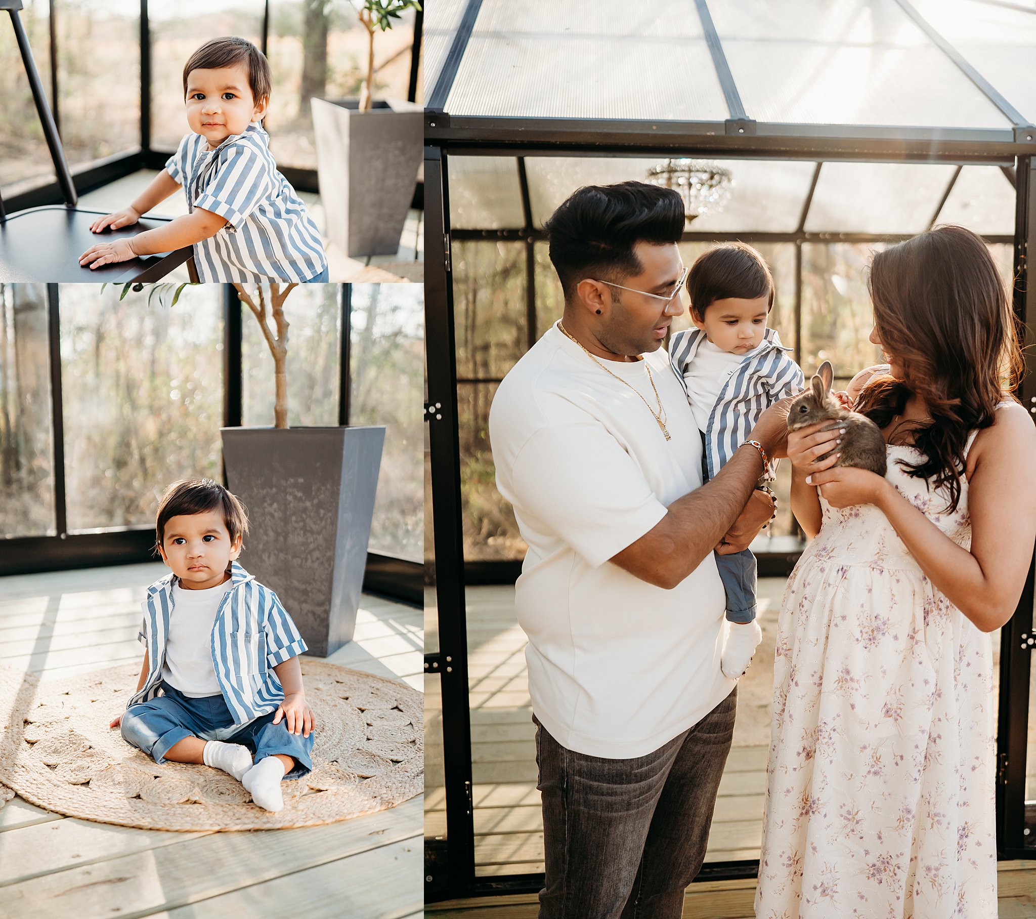 Glasshouse with bunnies, chicks, and baby duck